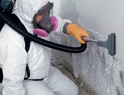 Best Post-Construction Mold Inspection  in Harvard, IL